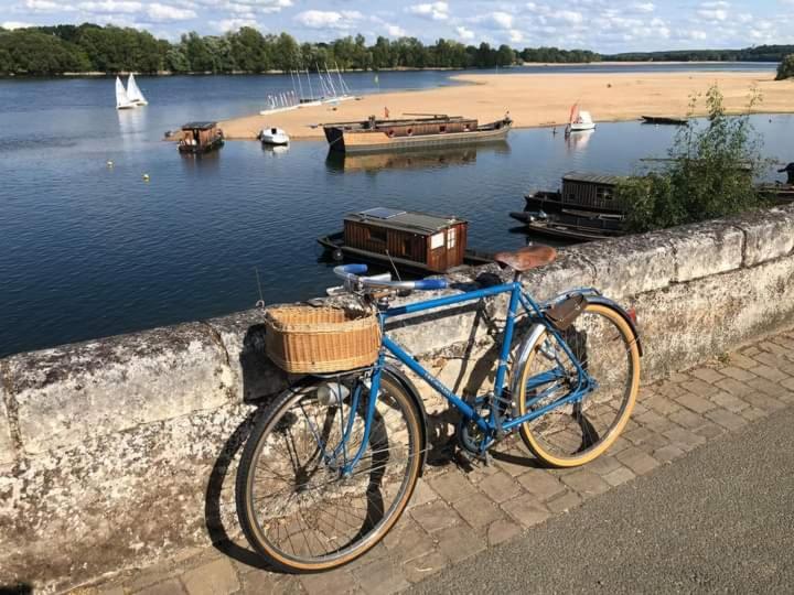 B&B Cote Loire Les Rosiers-sur-Loire Bagian luar foto